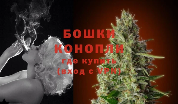 гидра Ступино