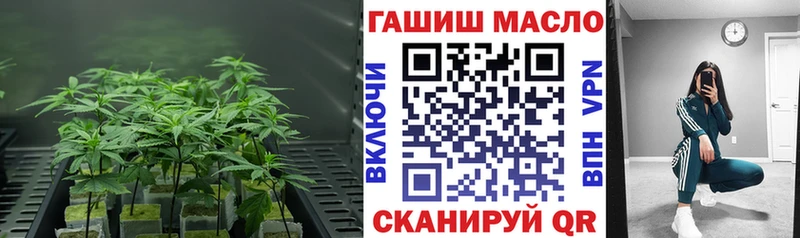 KRAKEN зеркало  Бирюсинск  shop формула  где продают наркотики  ТГК Wax 