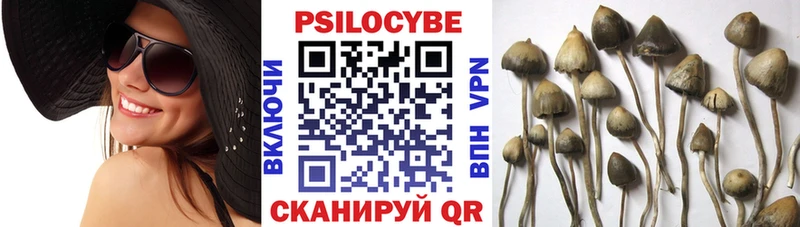 Псилоцибиновые грибы мицелий  купить  сайты  Бирюсинск 